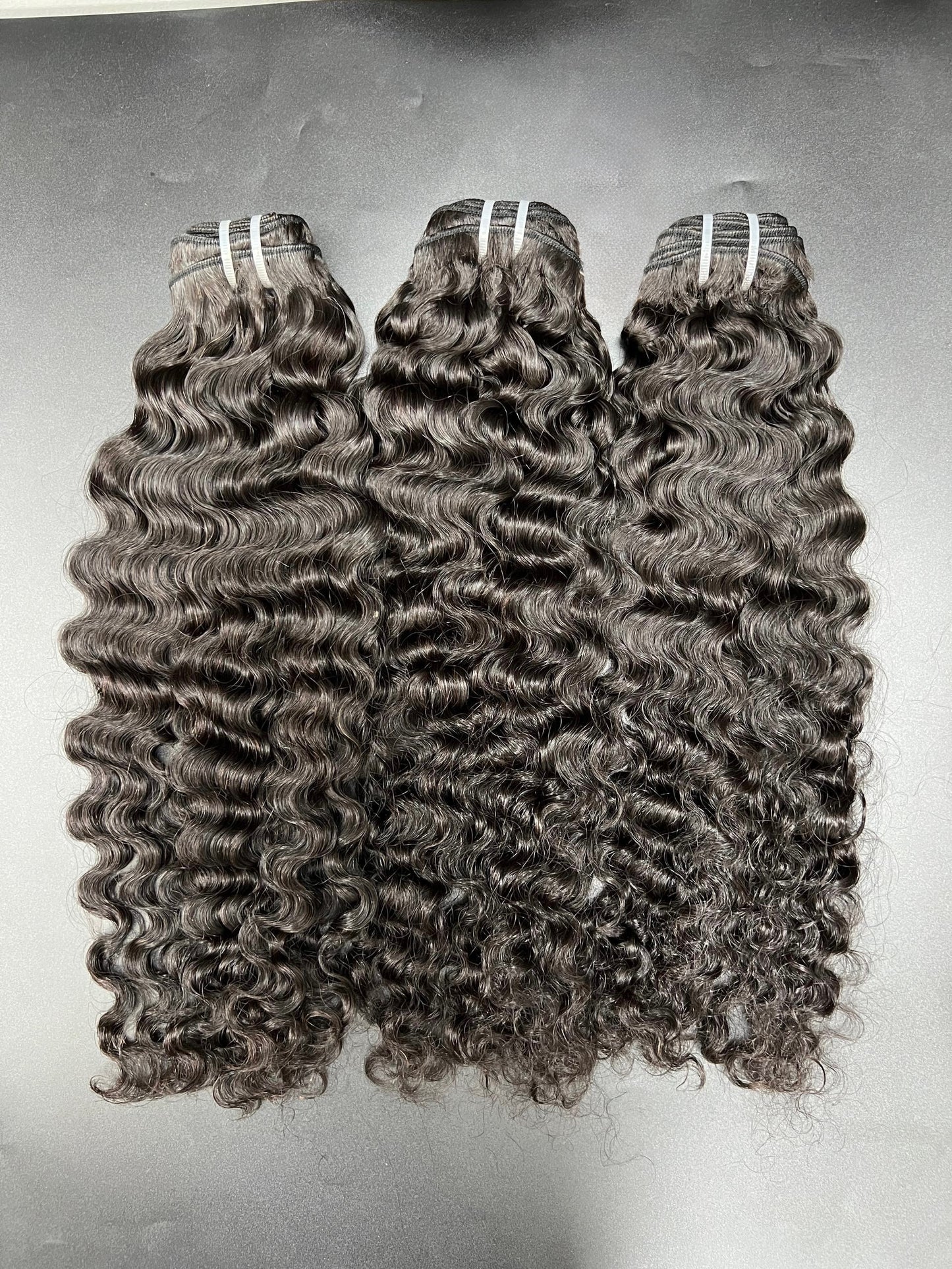 Burmese Curly