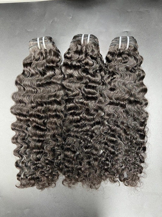 Burmese Curly